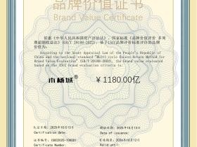 木杨城品牌价值1180亿!世界洪门超级IP可持续发展进入快车道
